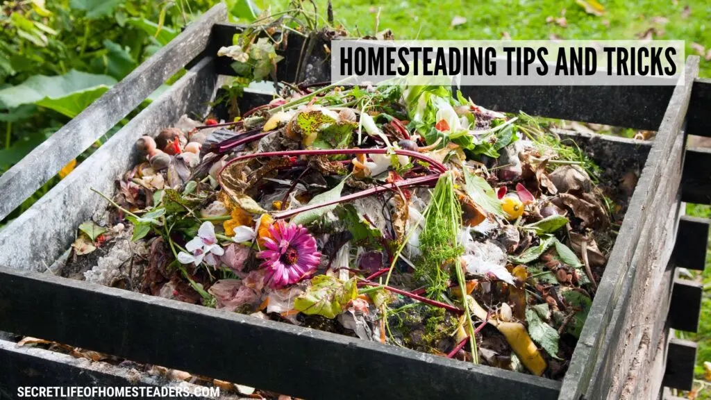 compost bin and the caption homesteading tips and tricks