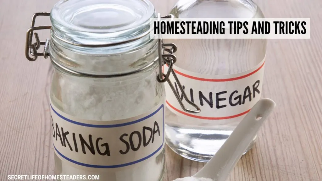 baking soda and vinegar bottles as DIY cleaners and the caption homesteading tips and tricks