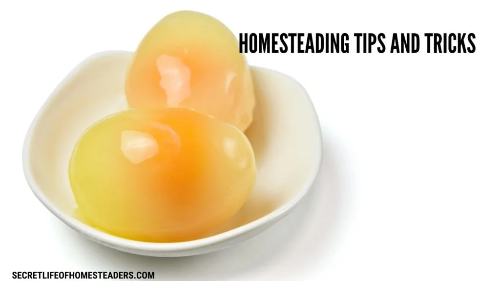 frozen eggs and the caption homesteading tips and tricks