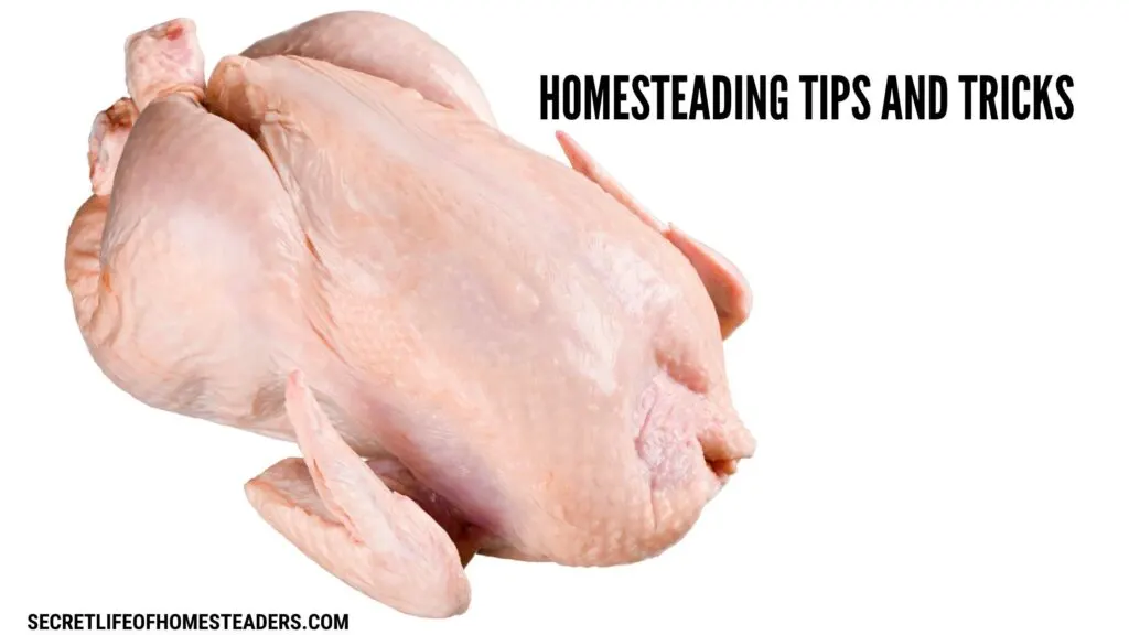 raw butchered chicken and the caption homesteading tips and tricks