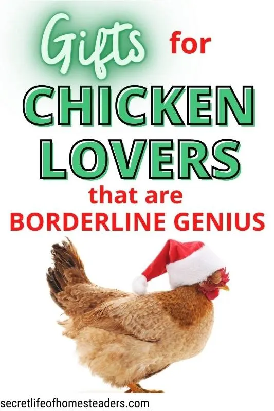 chicken with a santa hat and the caption gifts for chicken lovers