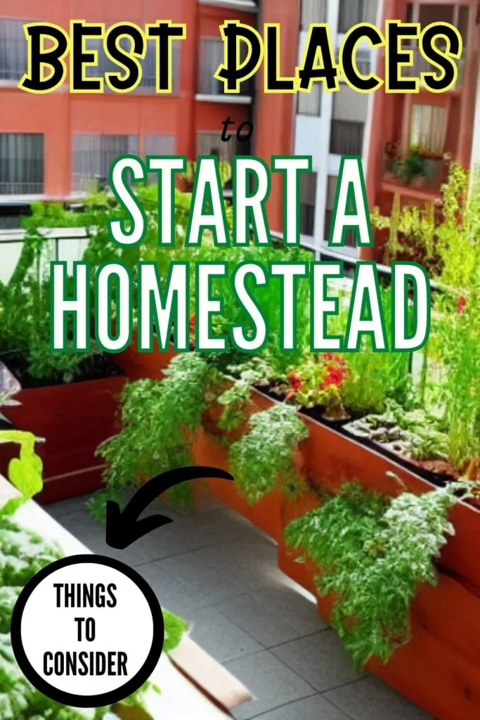 potted plants on a balcony with the caption best places to start a homestead