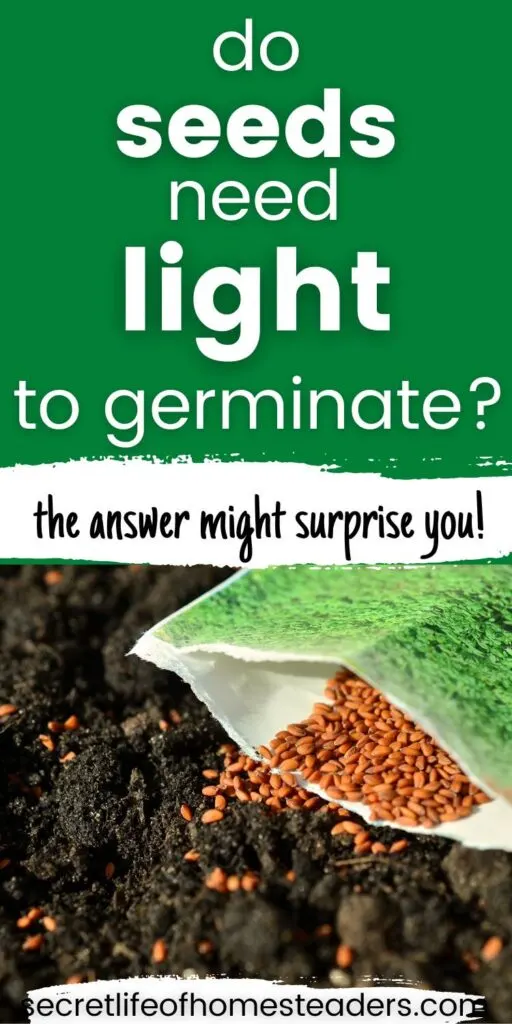 seed packet with seeds spilling out into potting soil and the caption do seeds need light to germinate