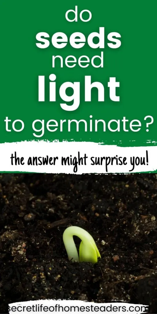 tiny squash seedling sprouting out of the dirt and the caption do seeds need light to germinate