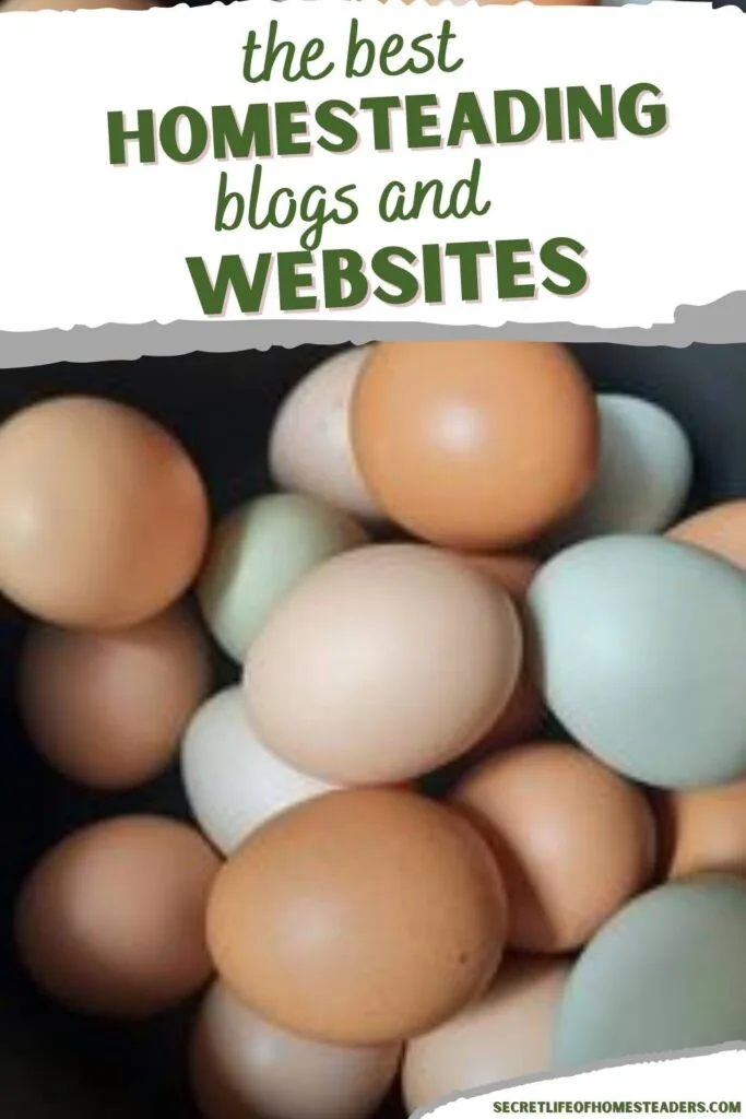 pile of colorful farm fresh chicken eggs and the caption the best homesteading blogs and websites